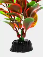Растение для аквариума Plant 006 Людвигия красная