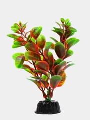 Растение для аквариума Plant 006 Людвигия красная