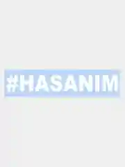 Наклейка на авто "HASANIM", 20 х 3 см