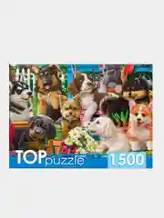 Бордовый пазлы 1500 элементов