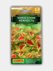 Колеус блюме Нежность (семена)