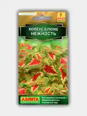 Колеус блюме Нежность (семена)