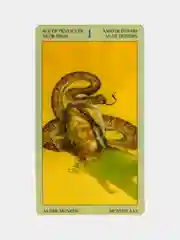 Карты Таро Индейцев Америки / Native American Tarot - Lo Scarabeo