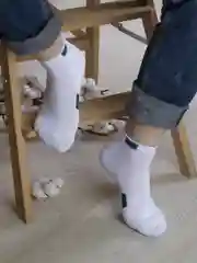 Белый носки мужские "Рэй"