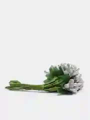 Серебряный тычинки с сахарными вставками 12 шт