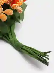 Оранжевый тычинки с сахарными вставками 12 шт
