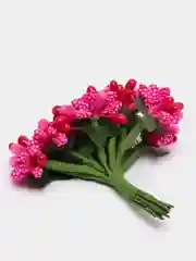 Фуксия тычинки с сахарными вставками 12 шт