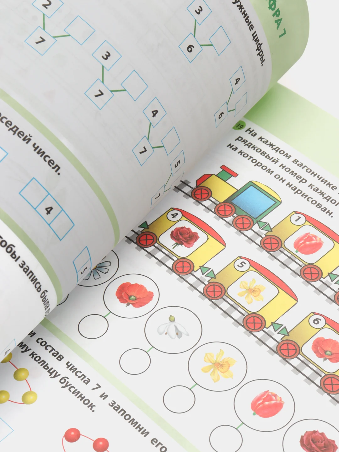 КОЛИЧЕСТВО И СЧЁТ. Математический тренажёр. От простого - к сложному.  4-6 лет
