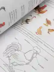 В МИРЕ ЖИВОЙ ПРИРОДЫ. Окружающий мир. Развитие речи и познавательных способностей. Тетрадь