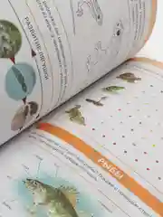 Я знаю: Мир растений. Мир животных. Мир человека. Окружающий мир в вопросах и заданиях