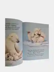 Книги на английском языке для детей 2+ The big Christmas collection. Англия