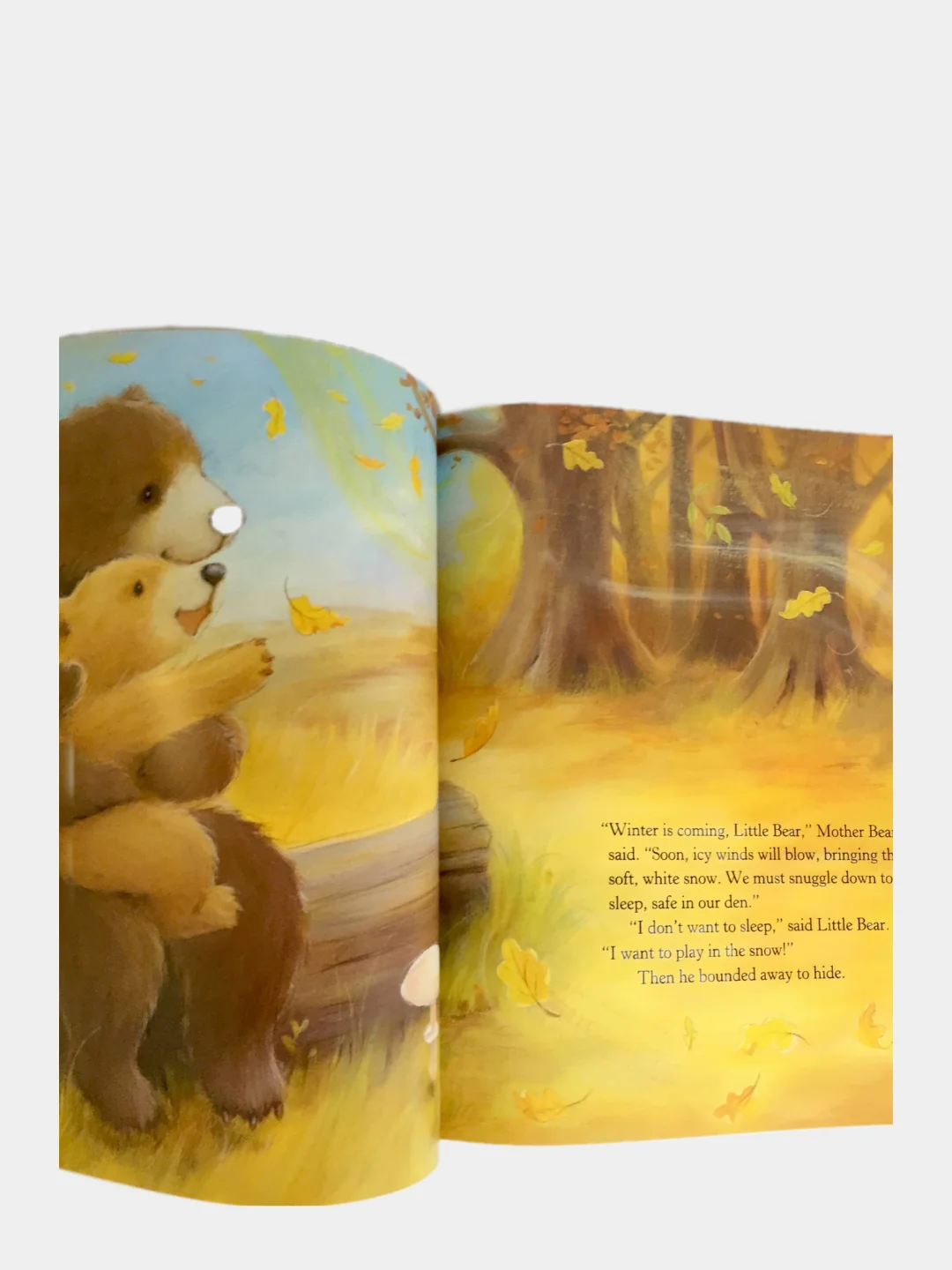 Книги на английском языке для детей 2+ The big Christmas collection. Англия