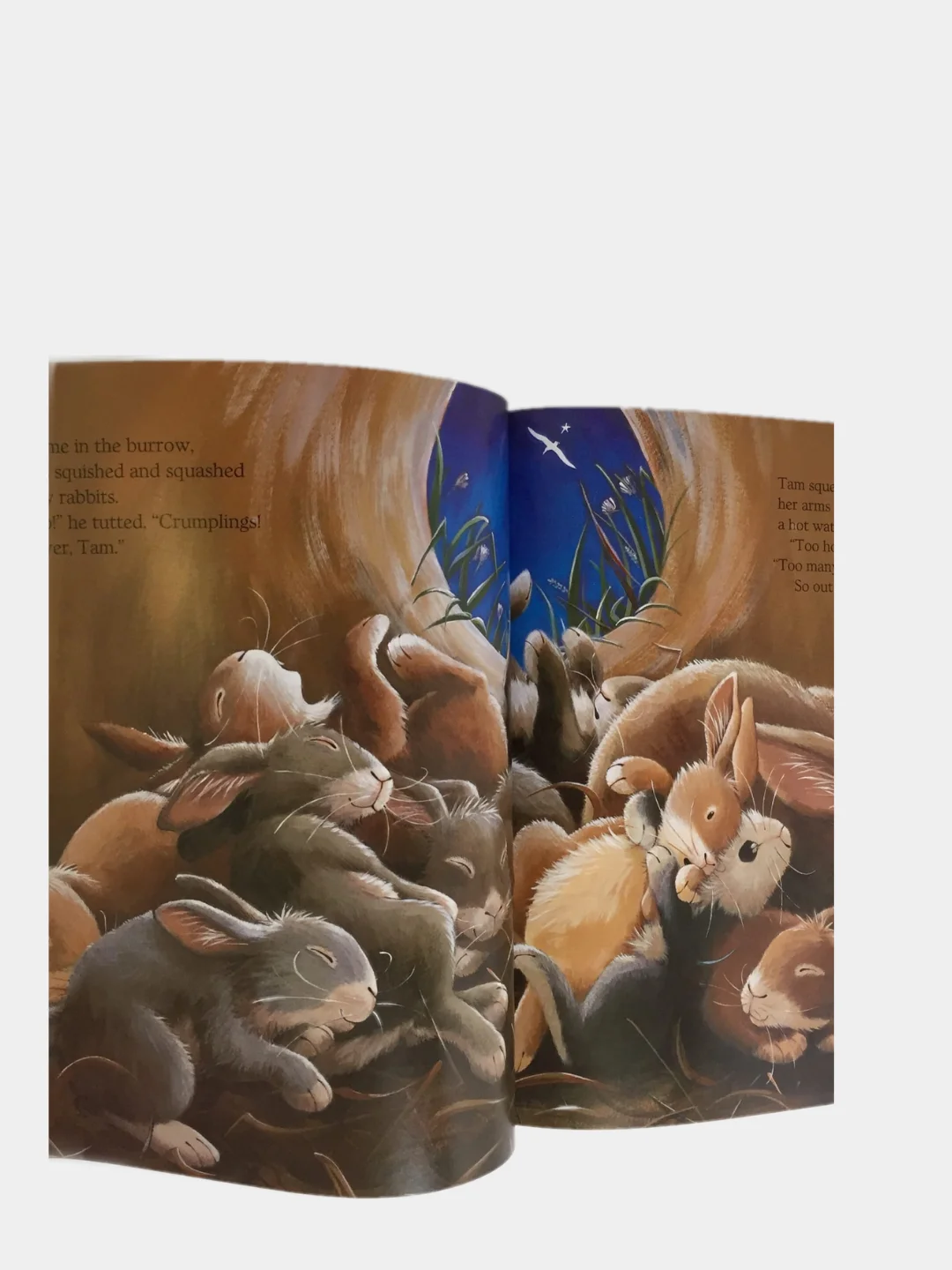 Книги на английском языке для детей 2+ The big Christmas collection. Англия