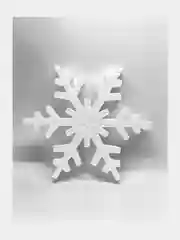 Вечные снежинки