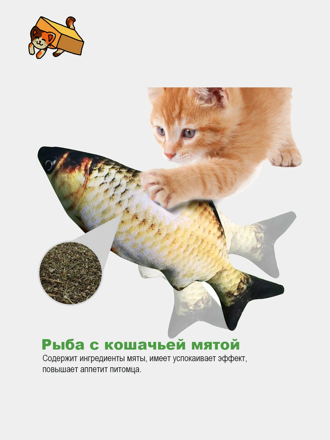 Бокс для кошки