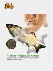 Бокс для кошки