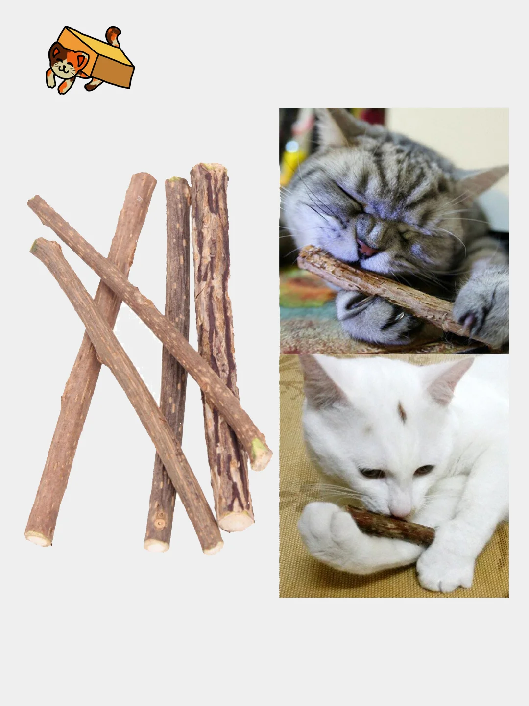 Бокс для кошки