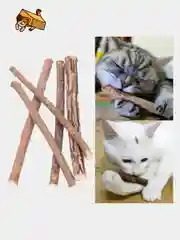 Бокс для кошки