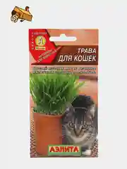 Бокс для кошки
