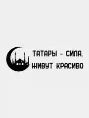 Наклейка на автомобиль "Татары - сила", белая