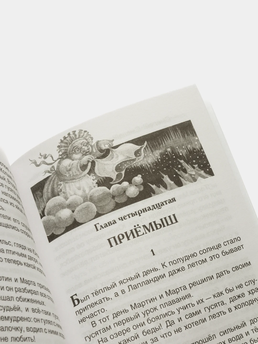 Чудесное путешествие Нильса с дикими гусями, Лагерлёф С (У334098)