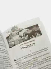 Чудесное путешествие Нильса с дикими гусями, Лагерлёф С (У334098)