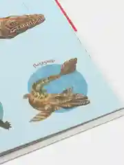 Энциклопедия для детского сада "Динозавры"
