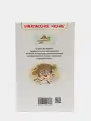 Рассказы Люси Синицыной, Пивоварова И. М (У275525)
