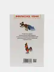 Приключения Васи Куролесова, Коваль Ю. И (У156097)