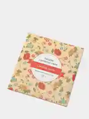 Саше ароматическое "Запахи удовольствия", дыня, вес 10 г, 10 х 10,5 см