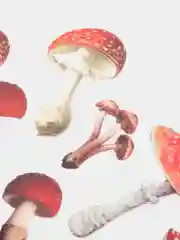 Бордовый пакет стикеров, наклейки для рукоделия