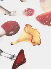 Бордовый пакет стикеров, наклейки для рукоделия