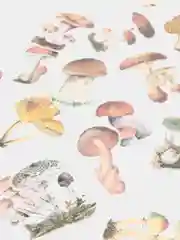 Бордовый пакет стикеров, наклейки для рукоделия