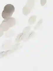 Приглушённый хаки воздушные шары с конфетти 12 дюймов. Набор от 5 шт.