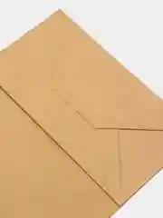 Пакет (20 шт) крафт без ручек и печати