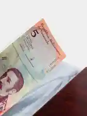 Бордовый альбом для банкнот