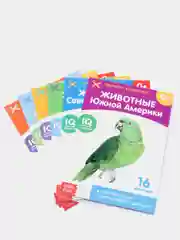 Книги набор карточки Домана, "Животные материков", 6 шт, по 20 стр