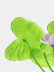 Растение для аквариума Plant 013 Лилия зеленая с цветком, высота 10 см