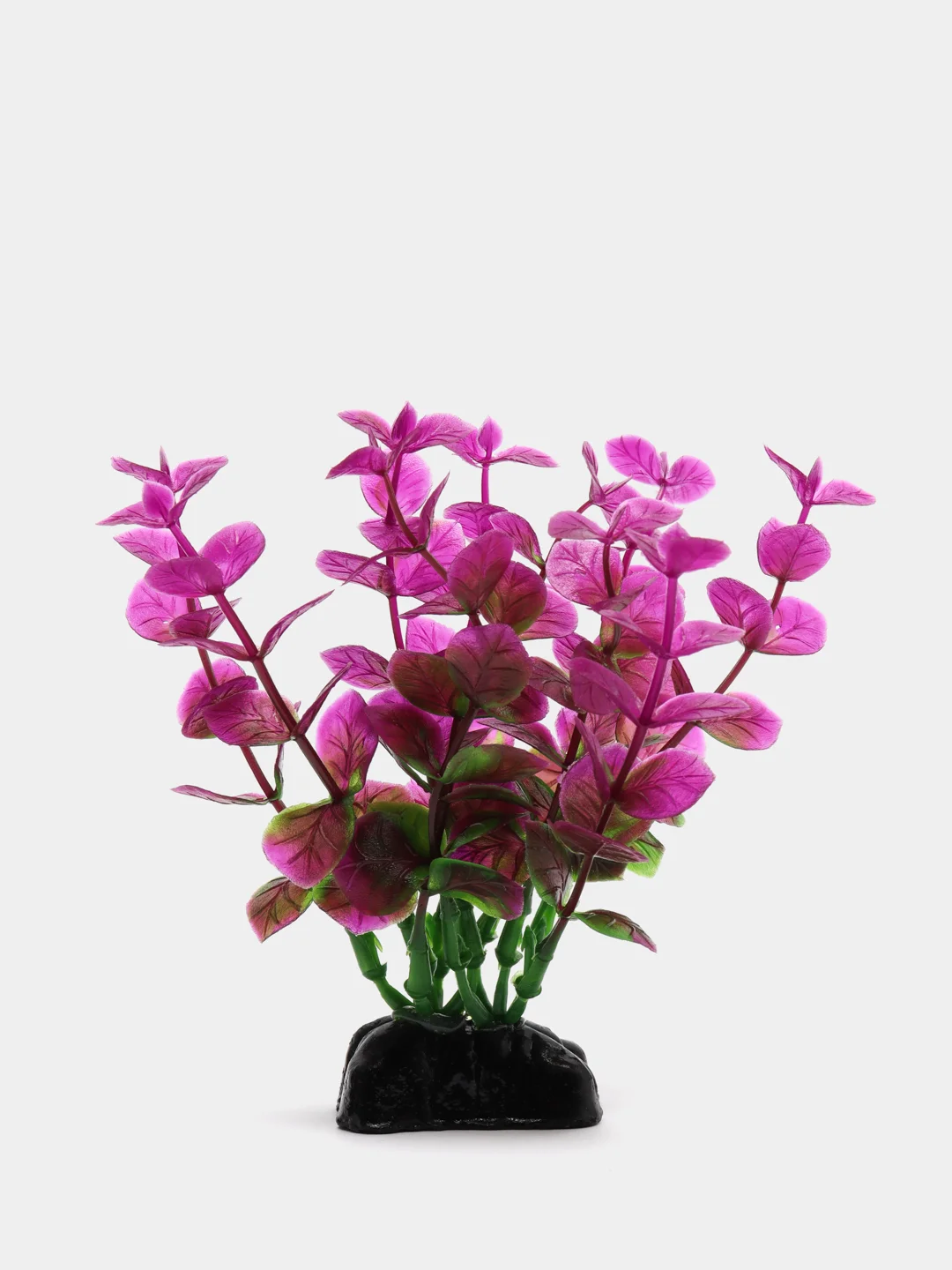Растение для аквариума Plant 025 Бакопа Красная