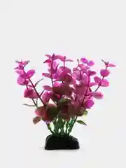 Растение для аквариума Plant 025 Бакопа Красная