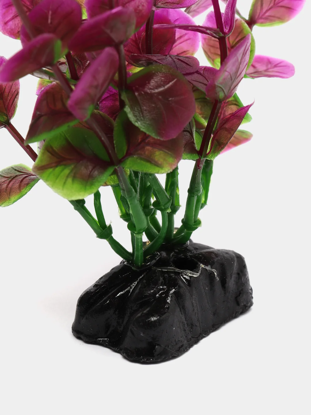 Растение для аквариума Plant 025 Бакопа Красная