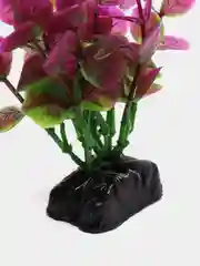 Растение для аквариума Plant 025 Бакопа Красная