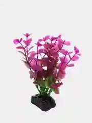 Растение для аквариума Plant 025 Бакопа Красная