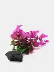Растение для аквариума Plant 025 Бакопа Красная