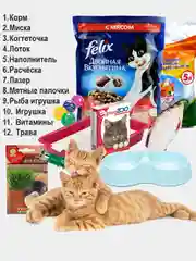 Бокс для кошки