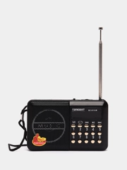 РАДИО  ГОРИЗОНТ  ЦИФРОВОЙ ПРИЕМНИК  (AM/FM, USB, SD) АККУМУЛЯТОР
