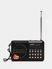 РАДИО  ГОРИЗОНТ  ЦИФРОВОЙ ПРИЕМНИК  (AM/FM, USB, SD) АККУМУЛЯТОР