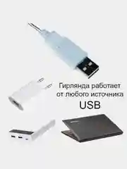 Гирлянда штора роса, на крючках, с пультом, 3 х 2 / 3 х 3 метра