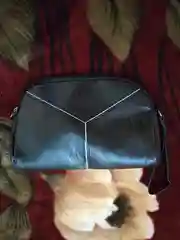 Сумка