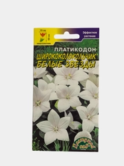 Платикодон Белые звезды (семена,цветы)